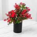 The Ruby Mini Artificial Accent Plant – 9.5"