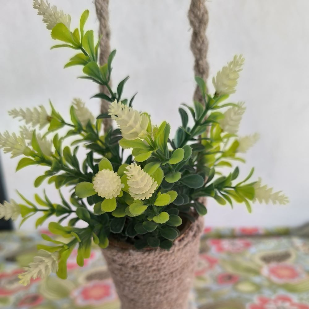 White flower hanging decorative plant