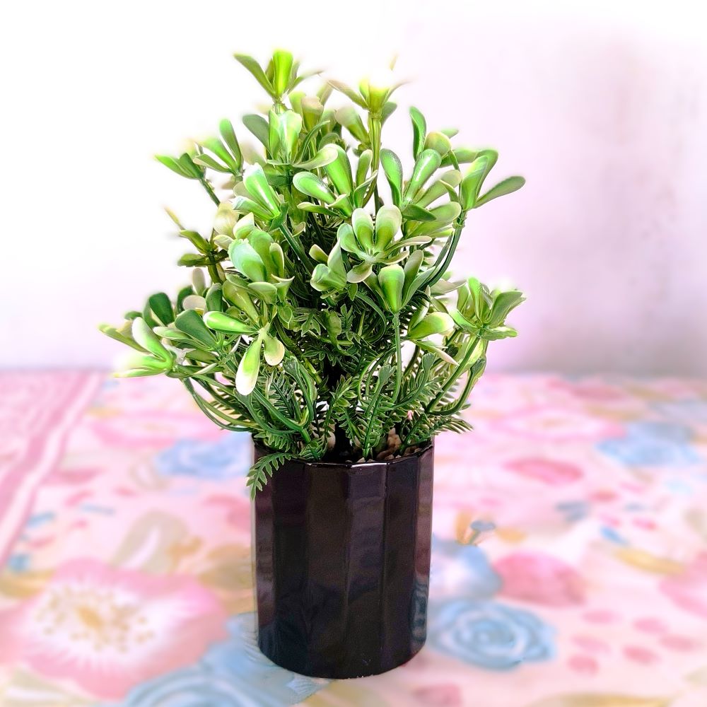 Mini Faux Boxwood Clover Plant in Glossy Black Ceramic Pot – 9.5"