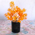 9.5" Mini Artificial Orange and White Blossom Bush in Glossy Black Ceramic Pot